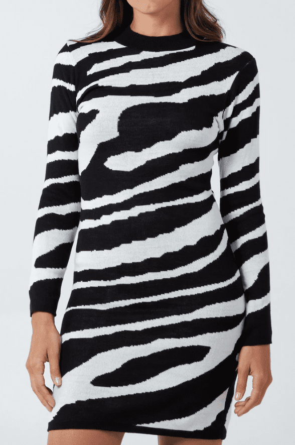 Lian Zebra print Bodycon Dress