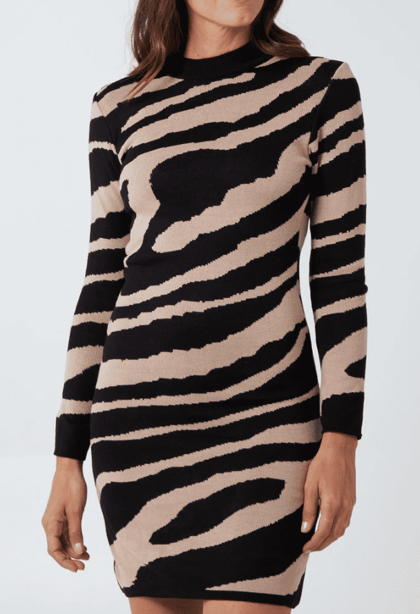 Lian Zebra print Bodycon Dress